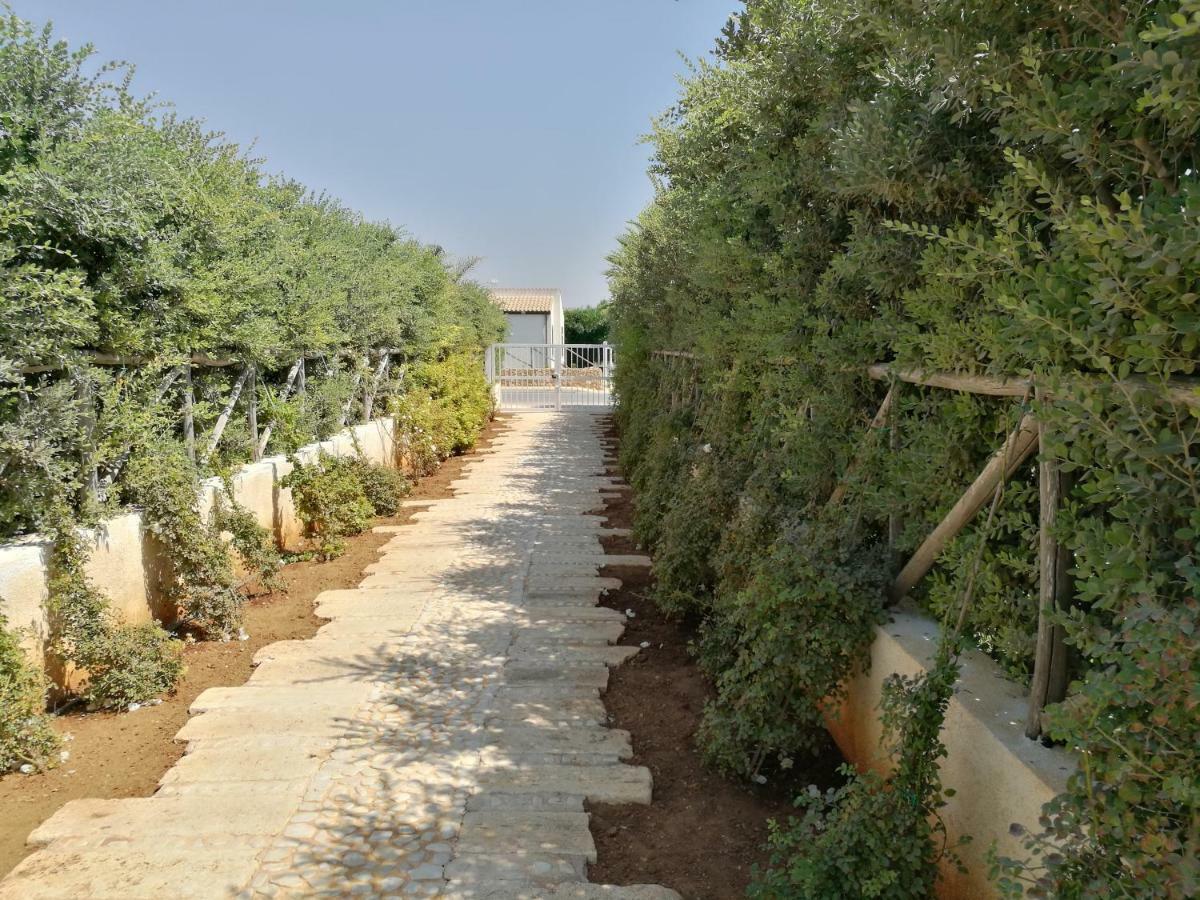 La Conchiglia Villa Petrosino Ngoại thất bức ảnh